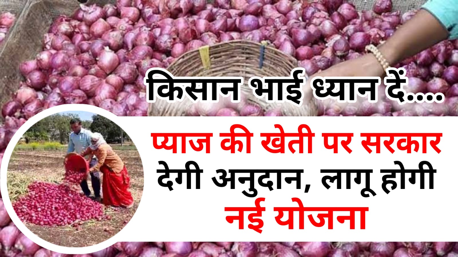 Onion Farming Subsidy Yojana